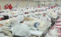 Hausse de l’indice de la production des industries manufacturières hors raffinage de pétrole Hausse de l’indice de la production des industries manufacturières hors raffinage de pétrole