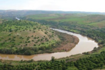 Contribution des arbres fruitiers au développement durable de la région d’Abda Contribution des arbres fruitiers au développement durable de la région d’Abda