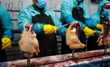 Les foies gras bulgares et hongrois à l'assaut du monde