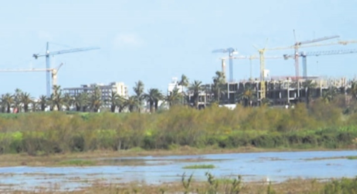 La dégradation des zones humides La dégradation des zones humides