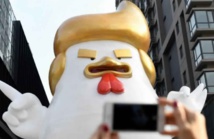 Trump réincarné en poulet Trump réincarné en poulet