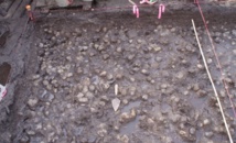 Un champ de patates datant de 3.800 ans découvert au Canada Un champ de patates datant de 3.800 ans découvert au Canada