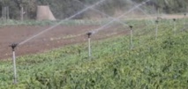 Un véritable défi pour l'essor du secteur agricole