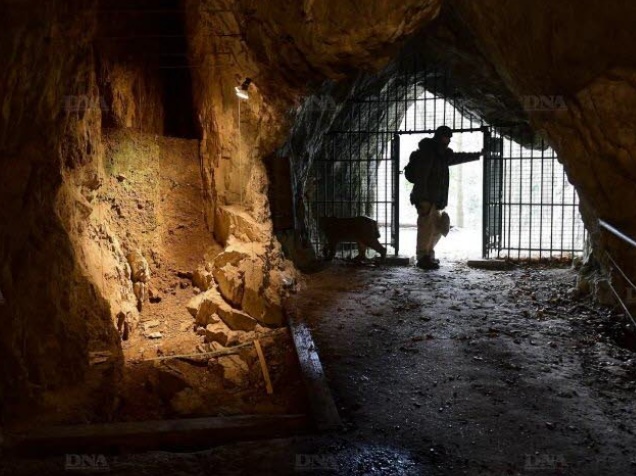 L'homme de Néandertal était bien cannibale L'homme de Néandertal était bien cannibale