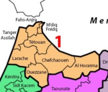 1.200 demandes de régularisation de migrants déposées auprès de la région Tanger-Tétouan-Al Hoceima 1.200 demandes de régularisation de migrants déposées auprès de la région Tanger-Tétouan-Al Hoceima