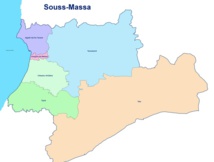 Une délégation d’opérateurs agricoles africains visite des projets de la région du Souss Une délégation d’opérateurs agricoles africains visite des projets de la région du Souss