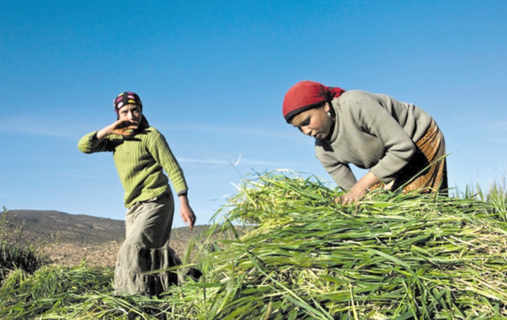 Le rôle de la femme agricultrice dans le développement en Afrique au centre d’une rencontre à Aït-Melloul Le rôle de la femme agricultrice dans le développement en Afrique au centre d’une rencontre à Aït-Melloul