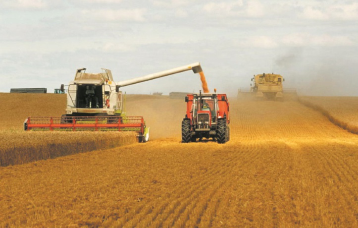 Les prix mondiaux des produits alimentaires en baisse pour la cinquième année consécutive Les prix mondiaux des produits alimentaires en baisse pour la cinquième année consécutive