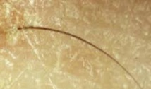 Le nœud le plus serré au monde est 200.000 fois moins épais qu'un cheveu