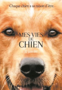 L'équipe du film “Mes vies de chien” accusée de cruauté animale