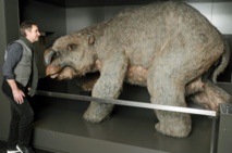 L'extinction d'animaux géants en Australie est due à l'homme L'extinction d'animaux géants en Australie est due à l'homme