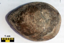 Fossile de moule découvert à l'occasion des fouilles entreprises au Sud-Est du Maroc dans la région d’Erfoud en 2010 ; empreinte d'une ère qui remonte au Trias inférieur, soit un témoignage vieux de 250 millions d'années, (photo prise à Er Rachidia en 2013). Fossile de moule découvert à l'occasion des fouilles entreprises au Sud-Est du Maroc dans la région d’Erfoud en 2010 ; empreinte d'une ère qui remonte au Trias inférieur, soit un témoignage vieux de 250 millions d'années, (photo prise à Er Rachidia en 2013).