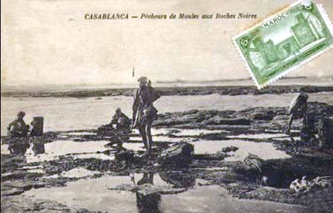 Pêcheurs de moules à marée basse lors de l’équinoxe de l’automne sur les côtes de Casablanca en 1914. Pêcheurs de moules à marée basse lors de l’équinoxe de l’automne sur les côtes de Casablanca en 1914.