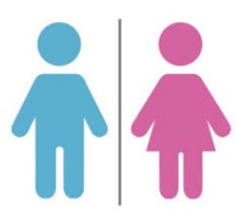 L’école pour l'égalité de genre : Atelier d'échanges et de réseautage L’école pour l'égalité de genre : Atelier d'échanges et de réseautage