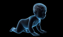 Une croissance rapide du cerveau des bébés annonciatrice d'autisme Une croissance rapide du cerveau des bébés annonciatrice d'autisme