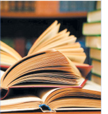 Bouillon de culture Bouillon de culture