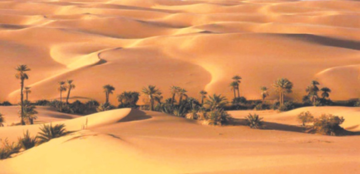 Lehjeila, l’étoile filante qui a éclairé le Sahara, s’est éteinte à jamais Lehjeila, l’étoile filante qui a éclairé le Sahara, s’est éteinte à jamais