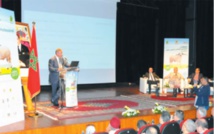 Le Sardi, une fierté de l’élevage ovin national Le Sardi, une fierté de l’élevage ovin national