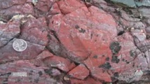 Découverte de microfossiles vieux de 4 milliards d'années Découverte de microfossiles vieux de 4 milliards d'années