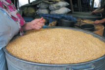 Doublement des prix mondiaux des principaux produits alimentaires Doublement des prix mondiaux des principaux produits alimentaires