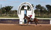 Le cheval Famous Mark remporte le GP SAR le Prince Moulay Rachid des courses hippiques Le cheval Famous Mark remporte le GP SAR le Prince Moulay Rachid des courses hippiques