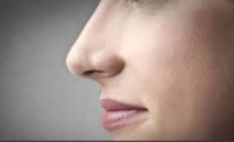 Insolite : Le climat a influencé les formes de nez Insolite : Le climat a influencé les formes de nez