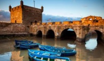 Arrestation à Essaouira d’une personne détenant illégalement une grande quantité de thuya Arrestation à Essaouira d’une personne détenant illégalement une grande quantité de thuya