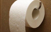 Insolite : Voleurs de papier-toilette Insolite : Voleurs de papier-toilette