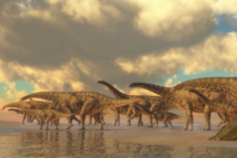 L'arbre généalogique des dinosaures  remis en cause