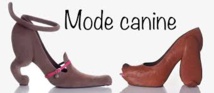 Insolite : Mode canine