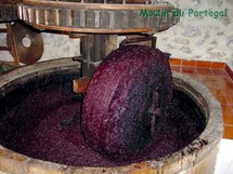 Pour une valorisation des sous-produits de l'olivier Pour une valorisation des sous-produits de l'olivier