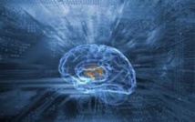 Le cerveau des super-seniors reste plus jeune