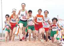 Championnat national scolaire de cross-country Championnat national scolaire de cross-country