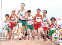 Championnat national scolaire de cross-country