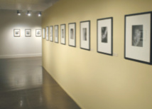 Bouillon de culture Bouillon de culture