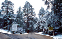 Pour la conservation du patrimoine naturel : Une Maison de l'écologie et des écosystèmes s'impose dans le Val d'Ifrane 