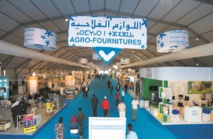 12 ans de rayonnement régional et international au service d'un secteur stratégique pour l’économie marocaine 12 ans de rayonnement régional et international au service d'un secteur stratégique pour l’économie marocaine