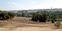 Meknès : Pour une oléiculture durable et respectueuse de l'environnement Meknès : Pour une oléiculture durable et respectueuse de l'environnement