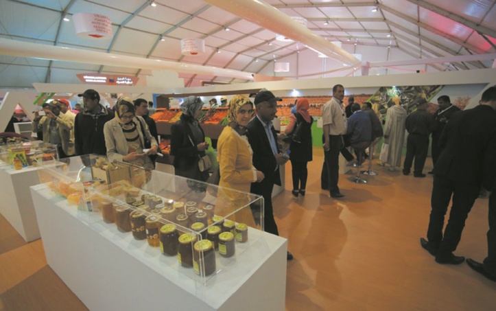 L'agriculture marocaine se projette à pas sûrs dans l'avenir L'agriculture marocaine se projette à pas sûrs dans l'avenir