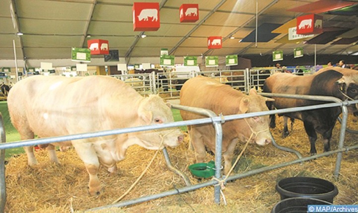 Valoriser et développer la filière des viandes rouges Valoriser et développer la filière des viandes rouges