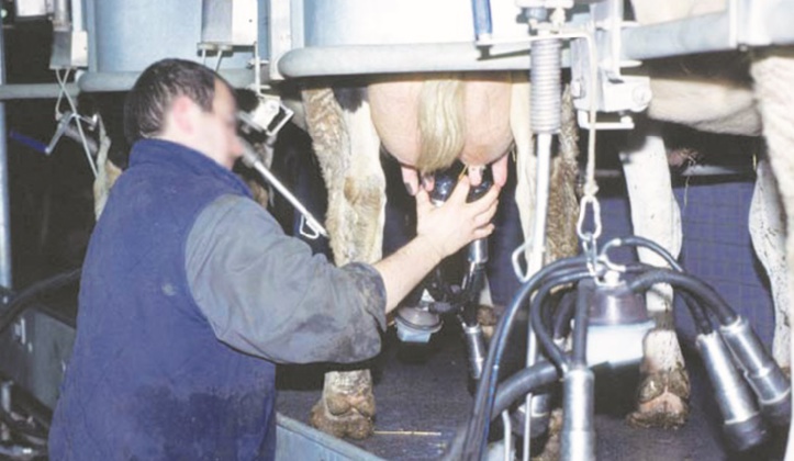 La filière lait double son offre nationale La filière lait double son offre nationale