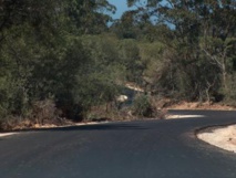 Action citoyenne à Tanger à l’occasion de la Journée mondiale de la terre Action citoyenne à Tanger à l’occasion de la Journée mondiale de la terre