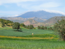 Dame nature booste l’économie nationale Dame nature booste l’économie nationale