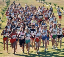 Un mois de mars chargé en échéances officielles pour le sport national : L'athlétisme et le football au devant de la scène