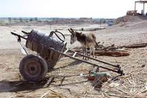 Pour que la voix de l’eau soit entendue Pour que la voix de l’eau soit entendue
