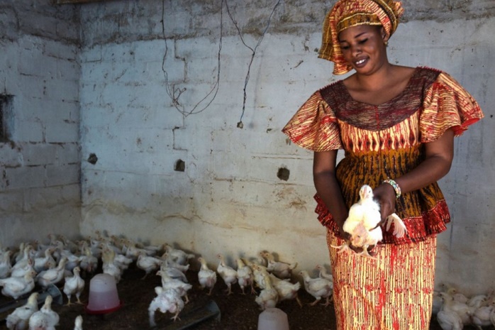 La tontine fait recette au Sénégal La tontine fait recette au Sénégal