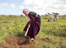 Les négociations en vue d’un gouvernement d’unité nationale reprennent Les négociations en vue d’un gouvernement d’unité nationale reprennent