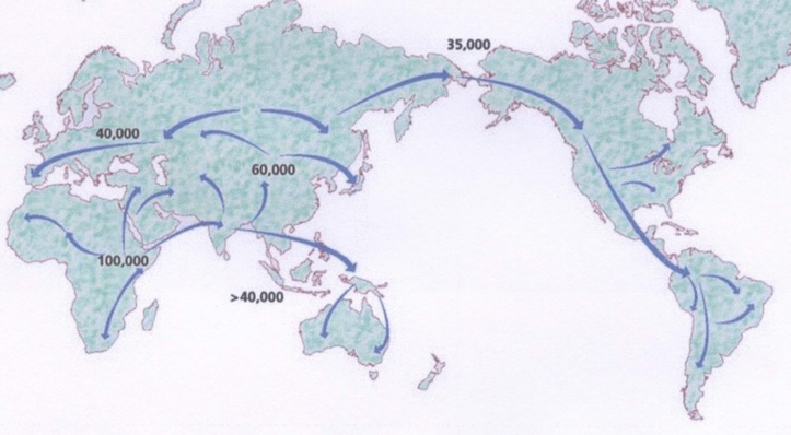 Depuis quand l'homme peuple-t-il les différents continents ?