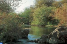 Deuxième Congrès international de l’environnement et du développement durable à Casablanca Deuxième Congrès international de l’environnement et du développement durable à Casablanca