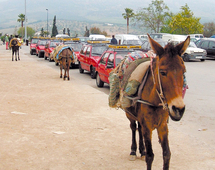 Code de la route : Les mesures qui dérangent Code de la route : Les mesures qui dérangent